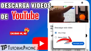 Cómo Descargar Videos de YouTube - Como descargar un video en celular