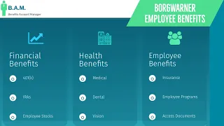 BorgWarner Employee Benefits | Benefit Overview Summary