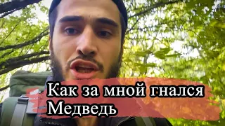 Как за мной гнался Медведь. Чечня и ее горы.