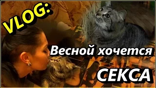 VLOG: Я в журнале для взрослых.Позор!