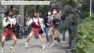 葉っぱマン 桜 【ドッキリ】 Leaf Man Pranks 20 - SAKURA