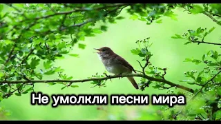 Не умолкли песни мира || Христианская песня 🎧🎵