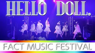 HELLO DOLL. 【FACT MUSIC FESTIVAL】