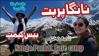 Journey to the Roof of the World: Nanga Parbat Base Camp Trekking and Enchanting Fairy Meadows