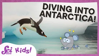 Exploring Antarctica: From Penguins to the Coldest Seas | SciShow Kids Compilation