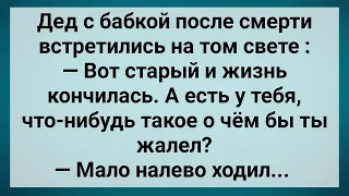 Дед с Бабкой на Том Свете! Сборник Свежих Анекдотов! Юмор!