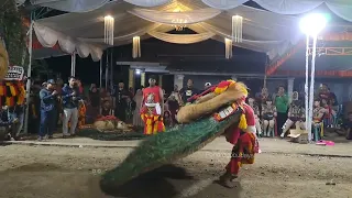 REOG PONOROGO DI DESA TURI JETIS