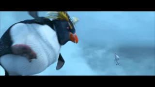 the Penguins and orcas' argument part 2