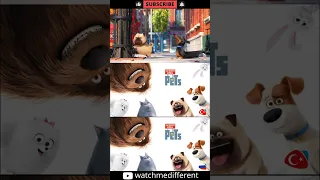 The Secret Life of Pets in different languages p4 #shorts