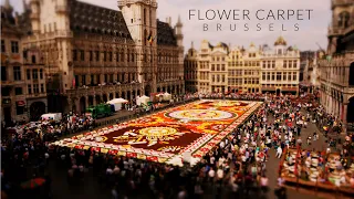 Flower Power in Brussels (Time Lapse - Tilt Shift - 4k)