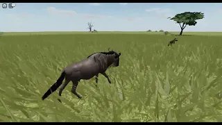 wild savanna roblox