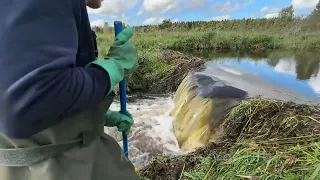 Beaver Dam COLLAPSES COMPILATION!