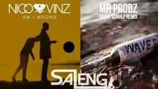 Am I Wrong VS. Waves - Nico & Vinc VS. Mr Probz & Robin Schulz (Saleng Mashup)