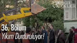 Yıkımda ilk kısmı yurttakiler kazanıyor! - Kırgın Çiçekler 36. Bölüm