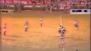 Santa Cruz Campeão de 1993