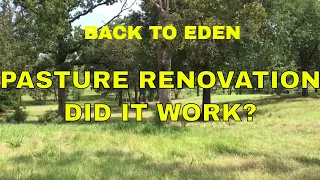 BACK TO EDEN PASTURE RENOVATION~DID IT WORK?