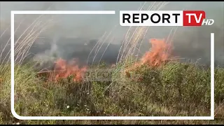 Report TV -Zjarr i përmasave të mëdha në Tale të Lezhës, rrezikohen bizneset në bregdet