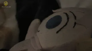 Bocchi laugh at 1 am (Plush Verison)