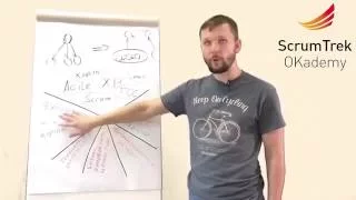 Компетенции скрам-мастера и Agile Coach