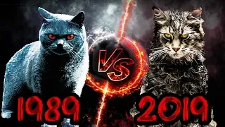 Кладбище домашних животных 2019 VS 1989! Обзор и сравнение фильмов