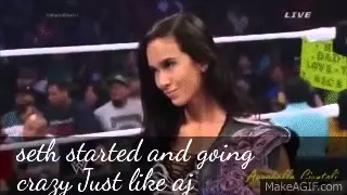 aj lee & seth rollins