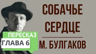 Собачье сердце. 6 глава. Краткое содержание