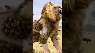 Animales que pueden Matar a un Leon 😱 🦁 #curiosidades