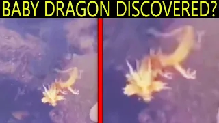 Diver Captured on Camera Something That Shocked the Whole World