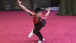 Wushu Eagle Style Form - Instructional