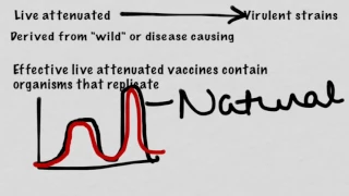 Types Of Vaccines