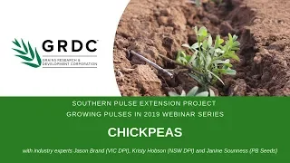 Growing Pulses in 2019 Webinar: Chickpeas