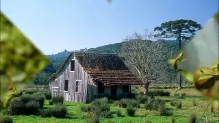 LEMBRANÇAS - ZÉ FORTUNA E PITANGUEIRA