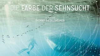 Die Farbe der Sehnsucht  (Offizieller Trailer)