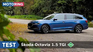 TEST | Škoda Octavia 1.5 TGI  | Plyn áno alebo nie? | Motoring TA3