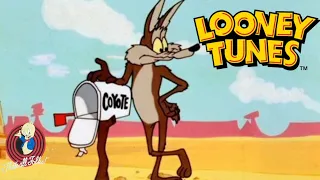 Looney tunes : Bip bip et Coyote