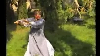 Authentic Shaolin Kung Fu  |Master Yanxu in 2001(Xiao Hong Quan)