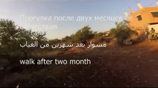 Наконец-то мы на прогулке верхом/ وأخيرا مشوار بعد شهرين من الغياب