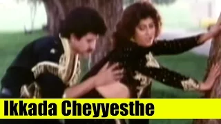 Telugu Song | Ikkada Cheyyesthe | Bangaru Mogudu | Suman, Bhanupriya, Malasri