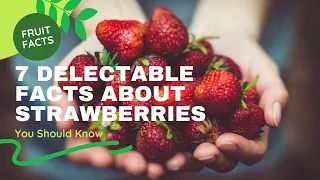7 Delectable Facts About Strawberries