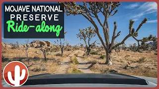 Ride-Along Through MOJAVE NATIONAL PRESERVE: Old Relics & Beautiful Nature Scenery