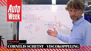 Viscokoppeling - Cornelis Schetst