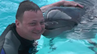 Плавание с дельфинами в дельфинарии Шарм эль шейха