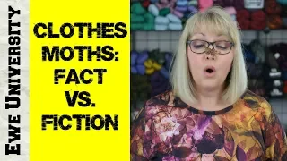 CLOTHES MOTHS: FACT VS. FICTION