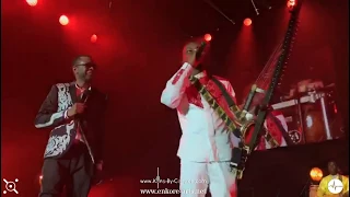 Travel Kora Pro played by Sidikiba Diabate on stage with Senegal pop king Youssou Ndour