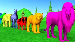 Paint And Animals 🦁 Lion, 🐯Tiger, 🦍Gorilla, 🐴Horse , 🐮Cow,🐘 Elephant, Fountain Crossing Animal