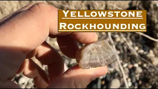 Hunting for Agates and Petrified Wood on the Yellowstone River - Montana Rockhounding