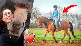 Verzorgster filmt haar weekend bij Marley en haar eigen pony! | felinehoi VLOGMAS #304