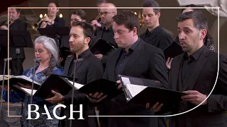 Bach - Cantata O ewiges Feuer... BWV 34 - Van Veldhoven | Netherlands Bach Society