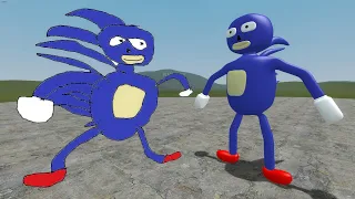 2D Sonic vs 3D Sonic Memes in Garry's Mod! (Sanic Clones Memes)