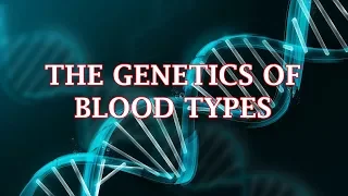 The Genetics of Blood Types